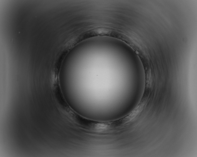 X0000093130176200710101105