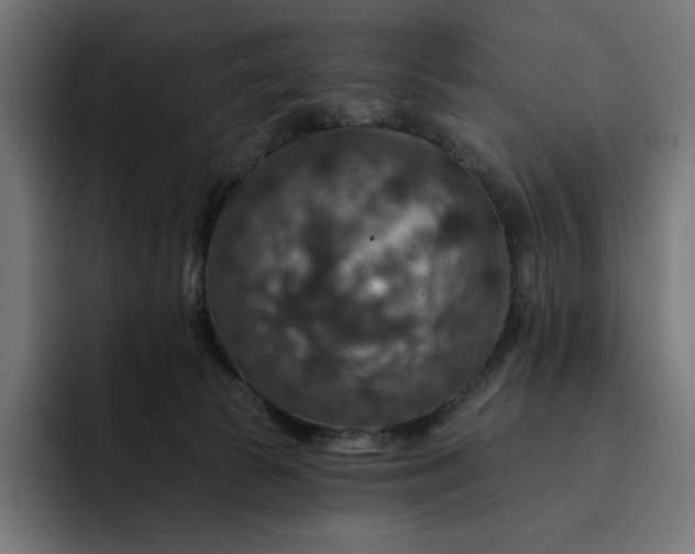 X0000093130177200710101105