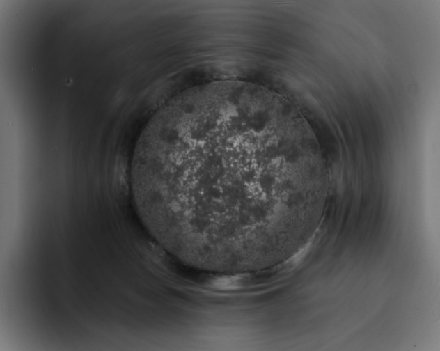 X0000093130178200710101105