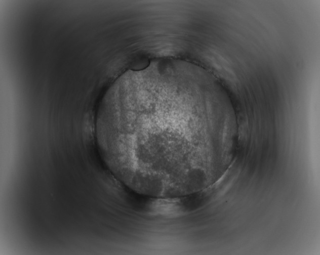 X0000093130179200710101105