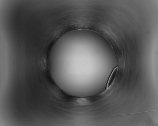 X0000093130183200710101105