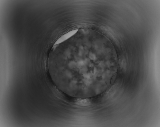 X0000093130185200710101105