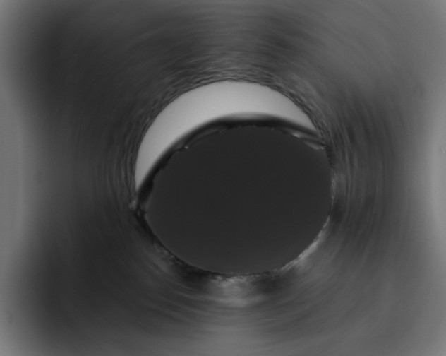 X0000093130186200710101106