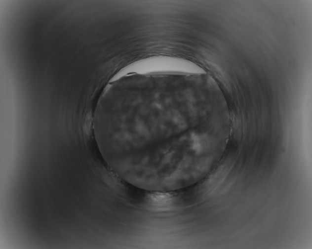 X0000093130189200710101106