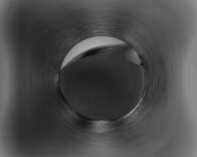 X0000093130192200710101106