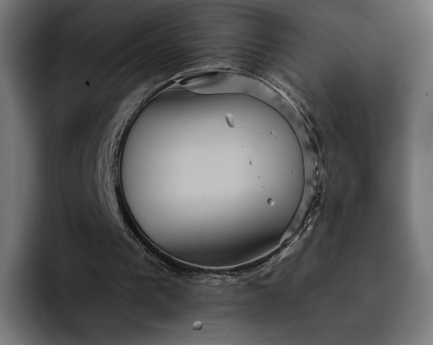 X0000093130193200710101105