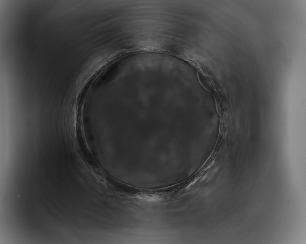 X0000093130194200710101105