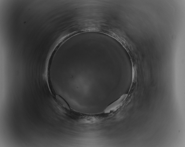 X0000093130195200710101105