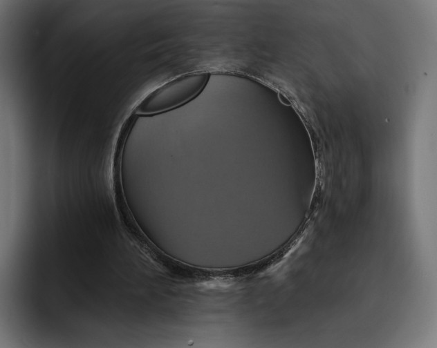 X0000093130196200710101105