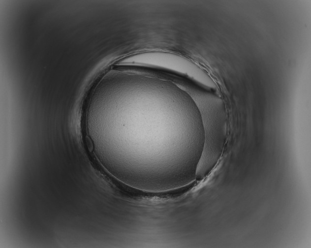 X0000093130197200710101105