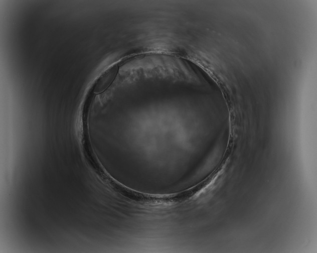 X0000093130198200710101105