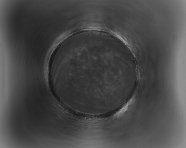 X0000093130199200710101105