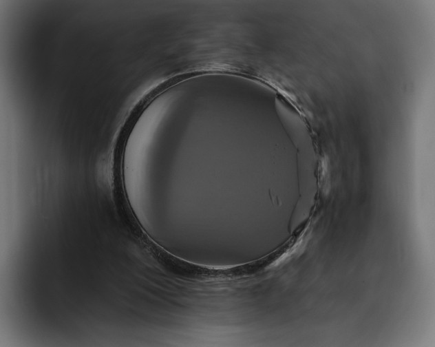 X0000093130200200710101105