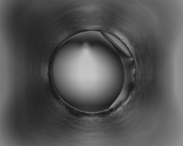 X0000093130201200710101105