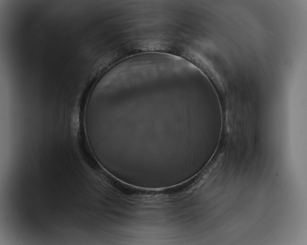 X0000093130202200710101105