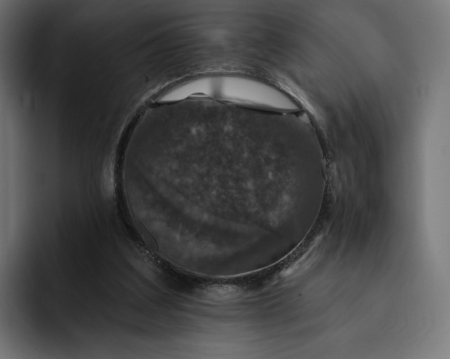 X0000093130203200710101105