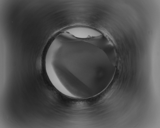 X0000093130204200710101105