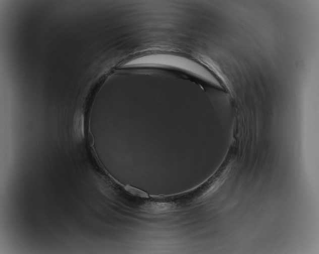 X0000093130205200710101105