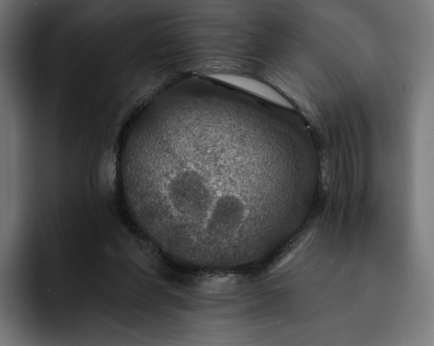 X0000093130206200710101105