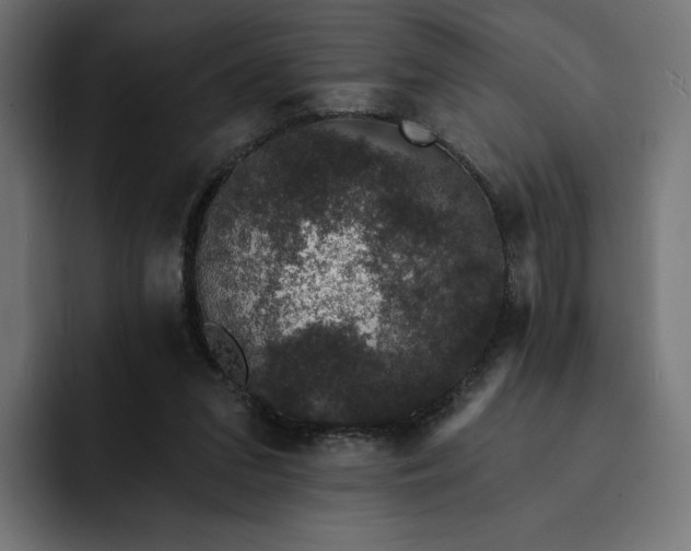 X0000093130207200710101105