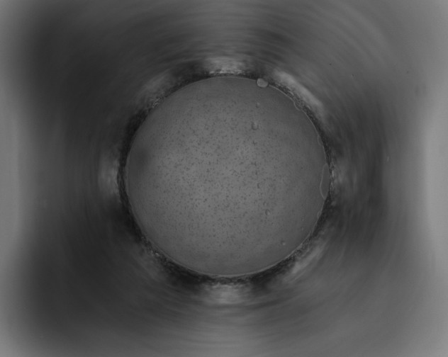 X0000093130209200710101105