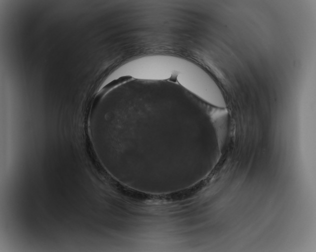 X0000093130211200710101105