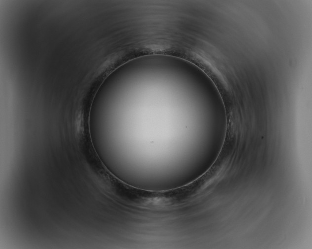 X0000093130212200710101105