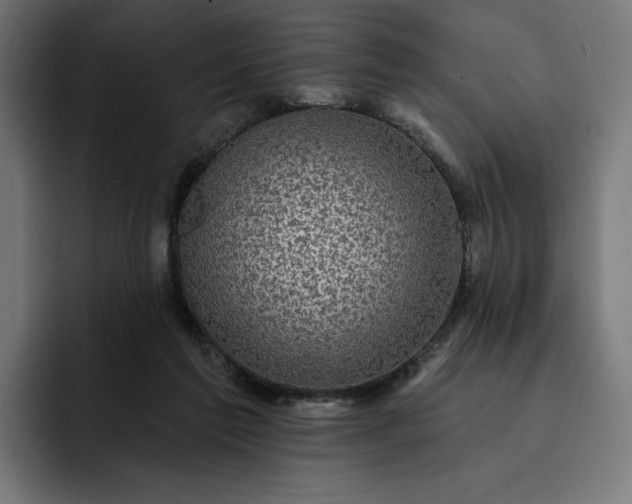 X0000093130213200710101105