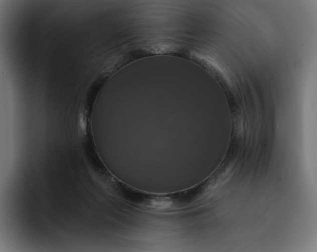 X0000093130214200710101105