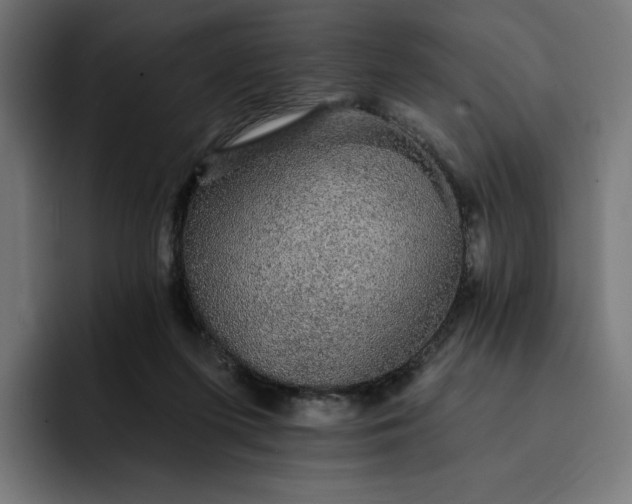 X0000093130215200710101105