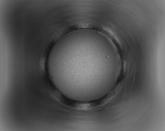 X0000093130217200710101105