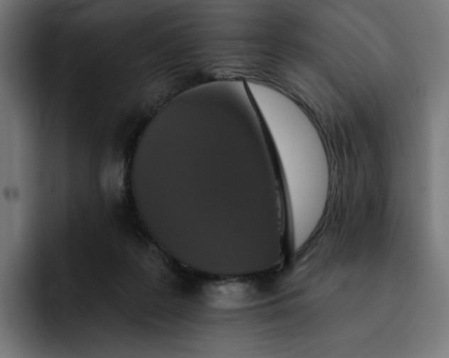 X0000093130219200710101105