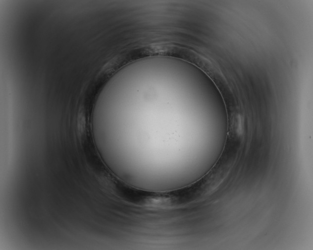 X0000093130220200710101105