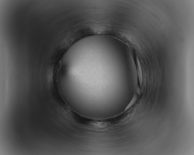 X0000093130221200710101105