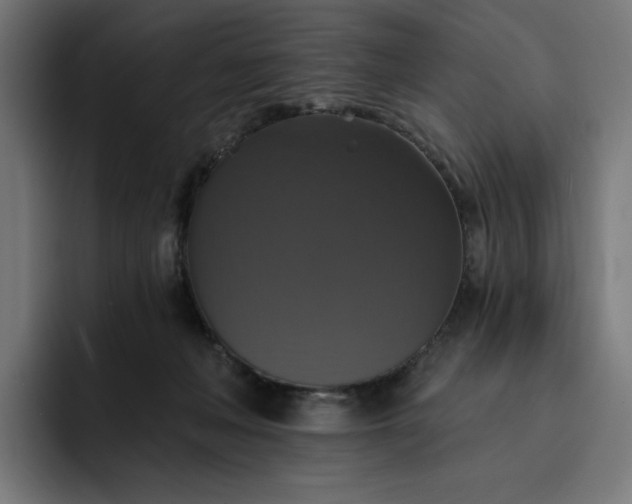 X0000093130222200710101105