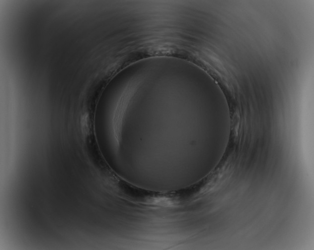 X0000093130224200710101105