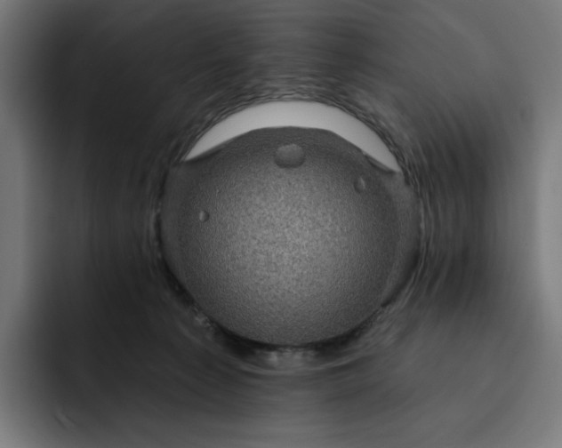 X0000093130225200710101105