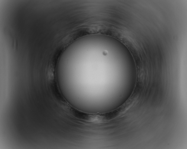 X0000093130226200710101105