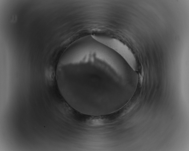 X0000093130228200710101105