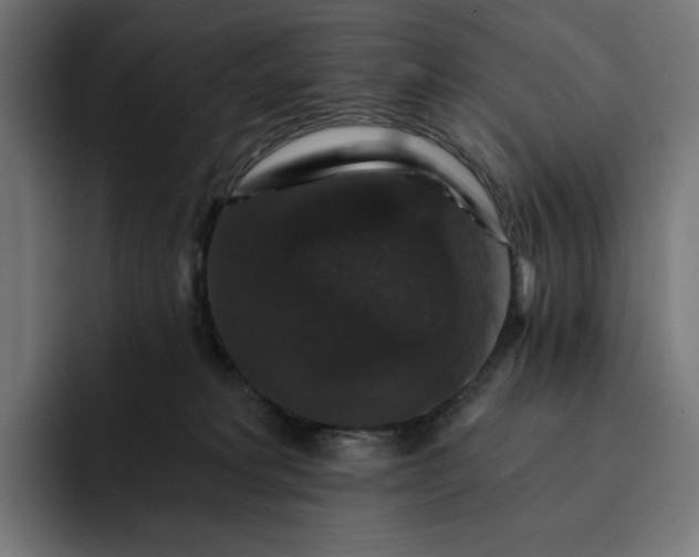 X0000093130229200710101105