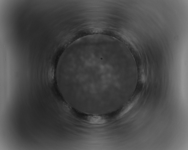 X0000093130230200710101105