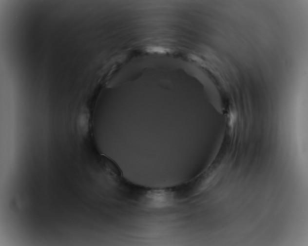 X0000093130231200710101105