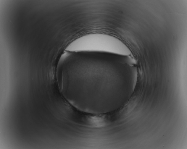 X0000093130232200710101105