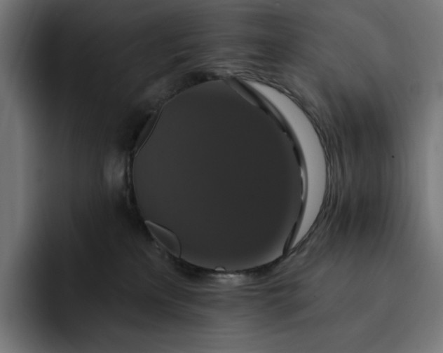 X0000093130233200710101105