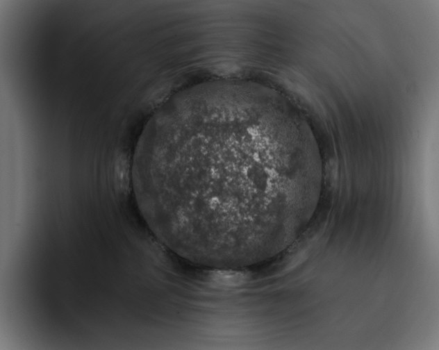 X0000093130234200710101105