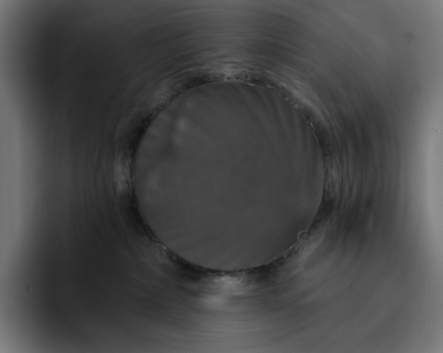 X0000093130236200710101105