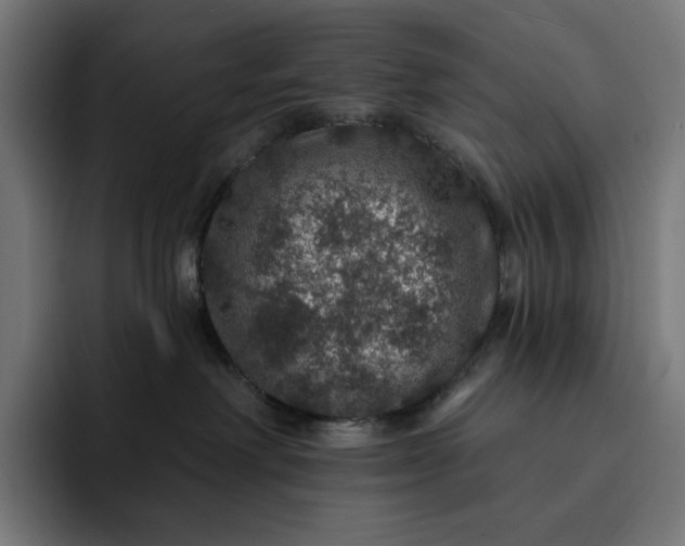 X0000093130238200710101104