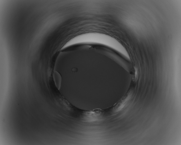 X0000093130239200710101104