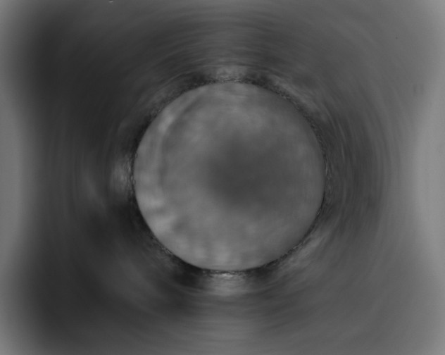 X0000093130240200710101104