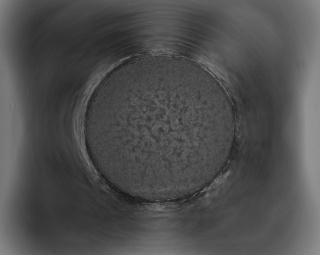 X0000093130241200710101104